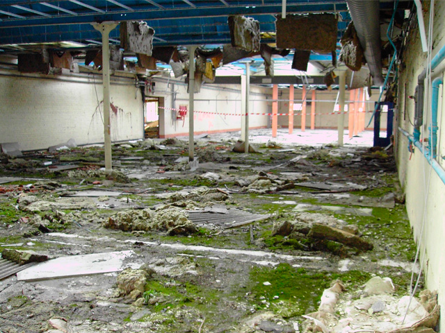 Friche CADDY - Willems