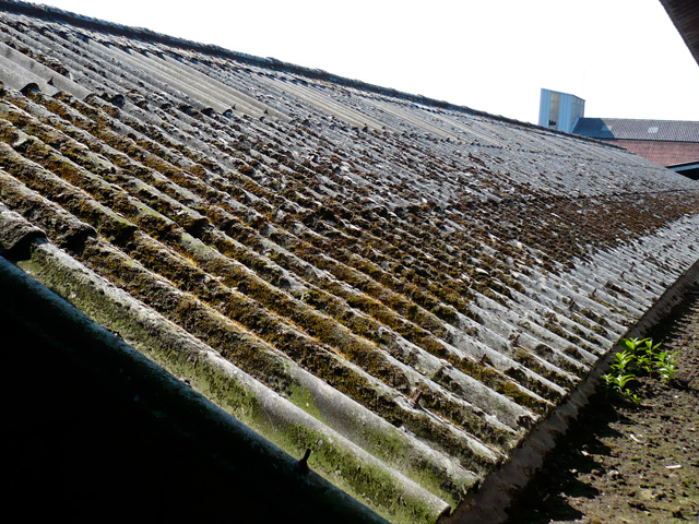 Friche La Tossee - Tourcoing