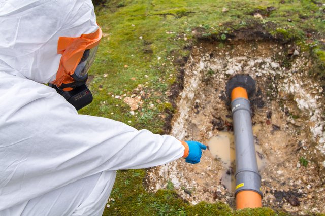 Une activité de formation