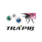 TRABIP